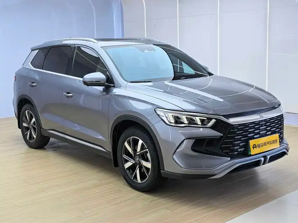 BYD Pro New Energy — фото 3