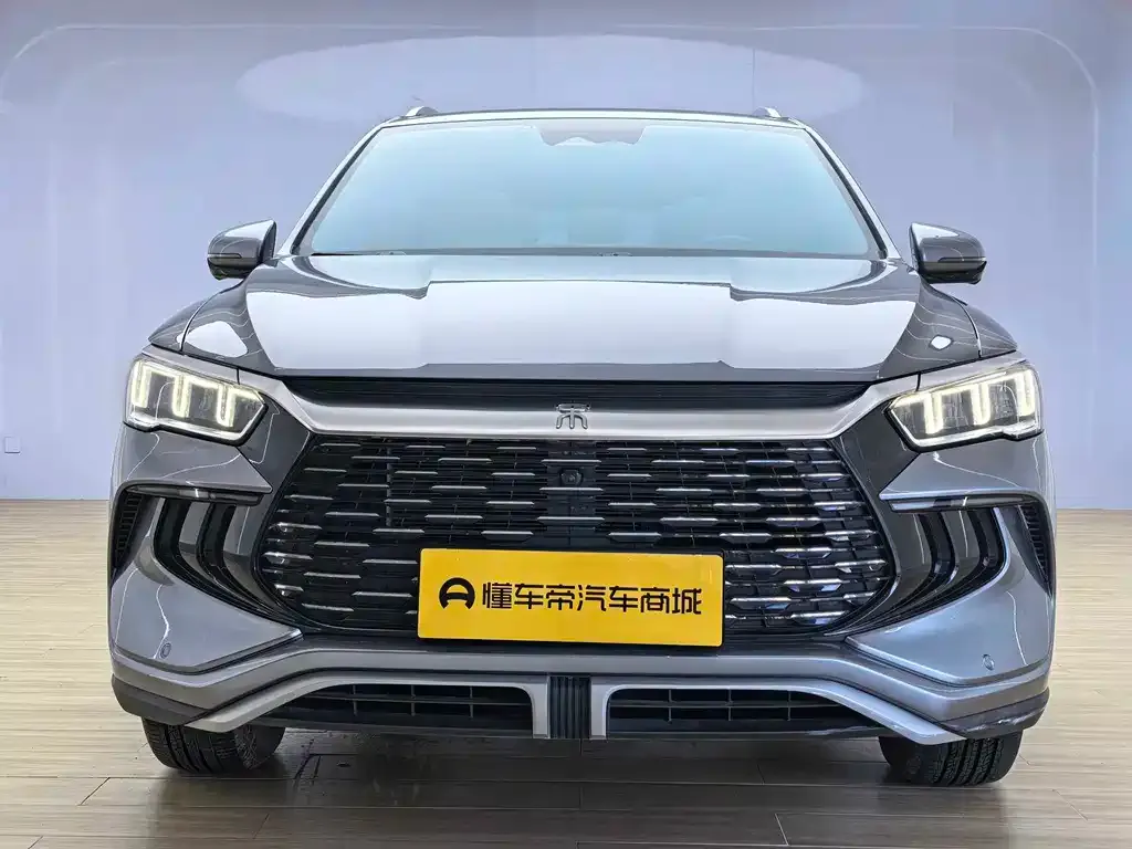 BYD Pro New Energy — фото 2