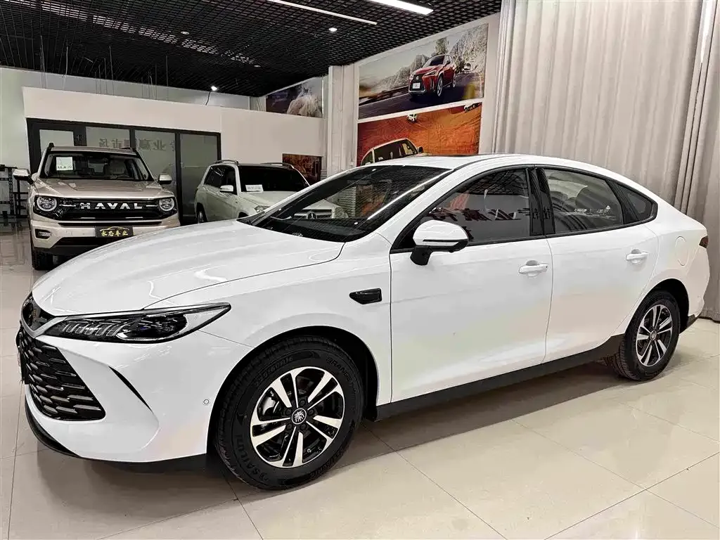 BYD Qin PLUS — фото 1