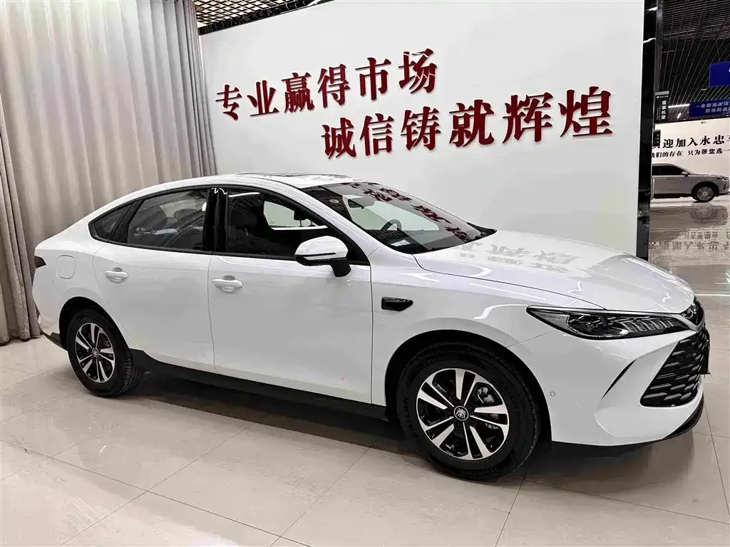 BYD Qin PLUS — фото 8
