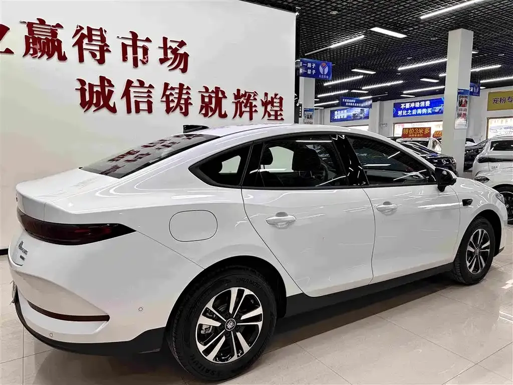 BYD Qin PLUS — фото 6