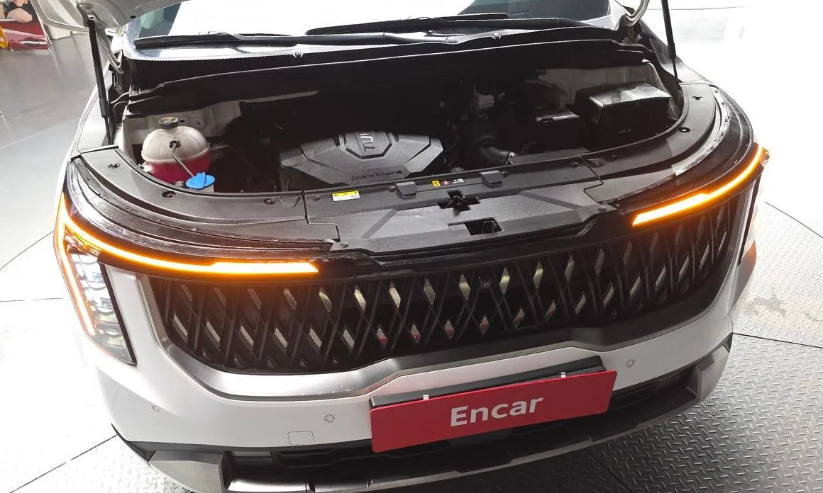 Kia Carnival — фото 10