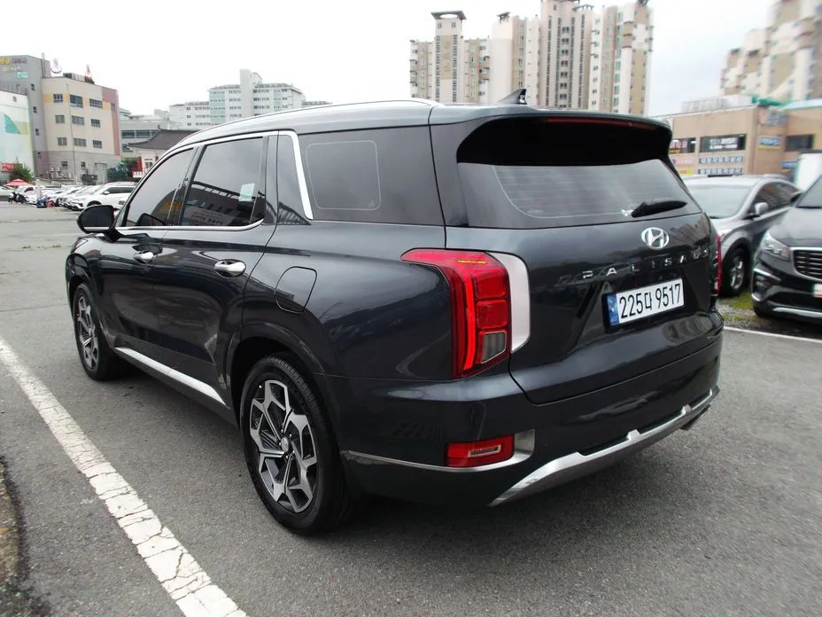 Hyundai Palisade — фото 10