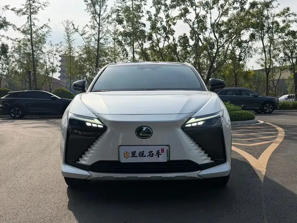 Lexus RZ — фото 10