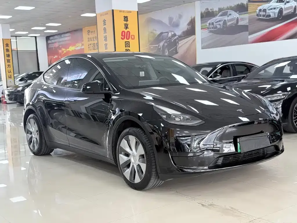 Tesla Model Y — фото 6