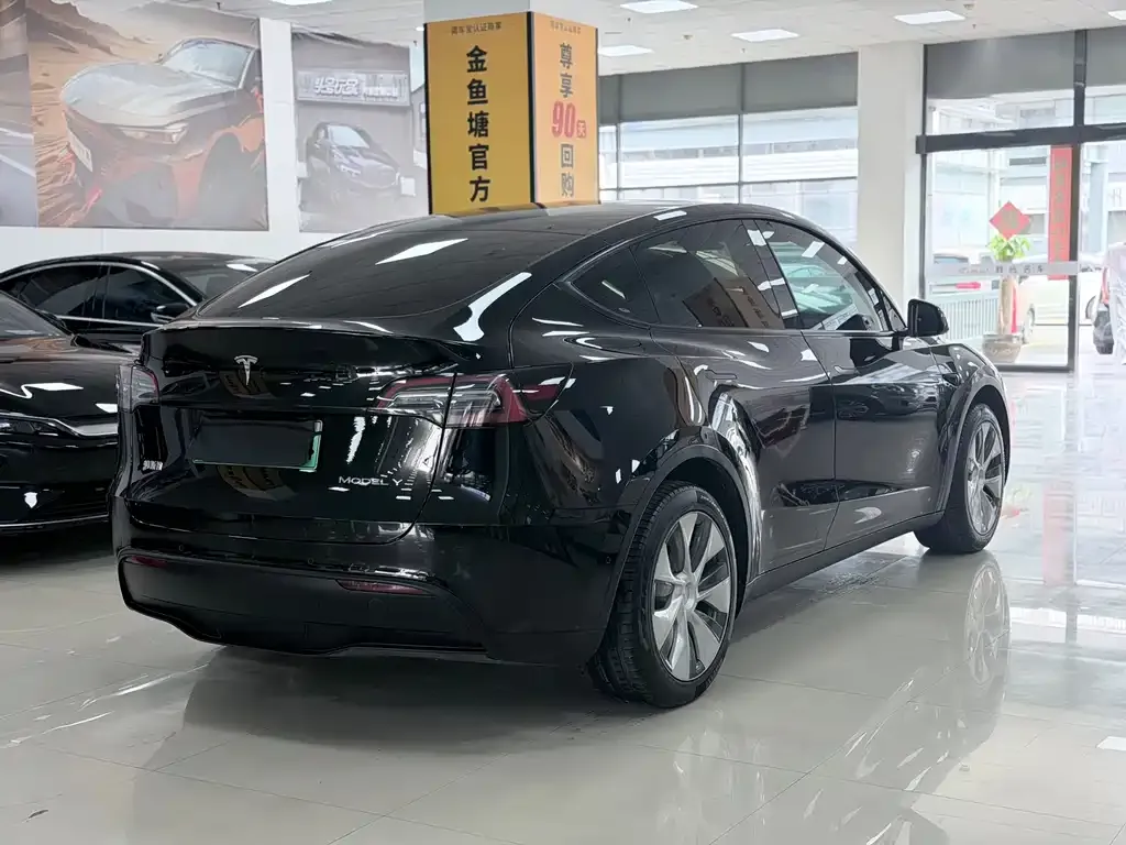 Tesla Model Y — фото 9