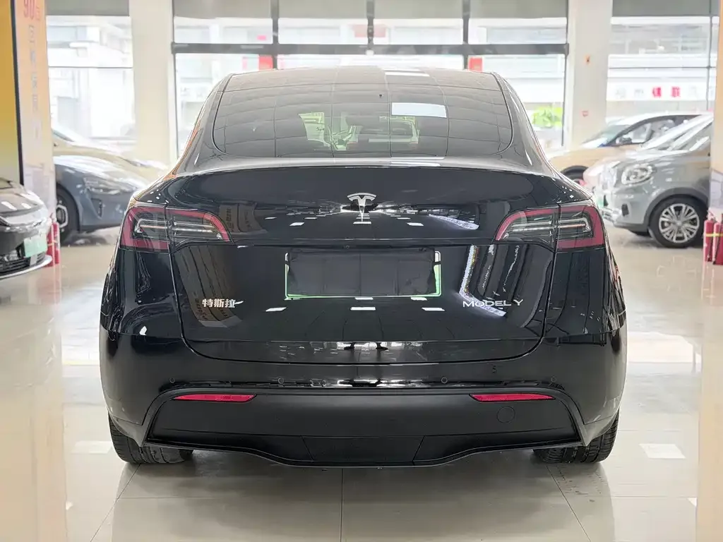 Tesla Model Y — фото 5