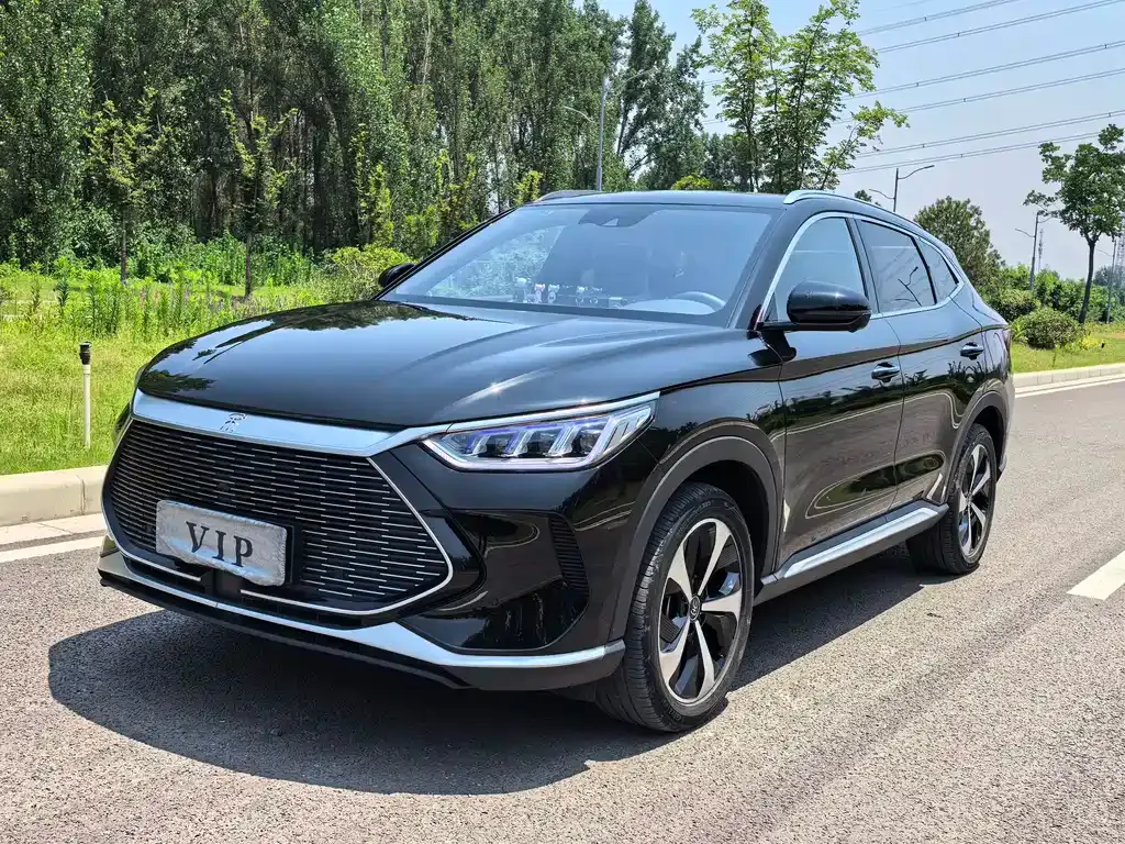 BYD PLUS New Energy — фото 1