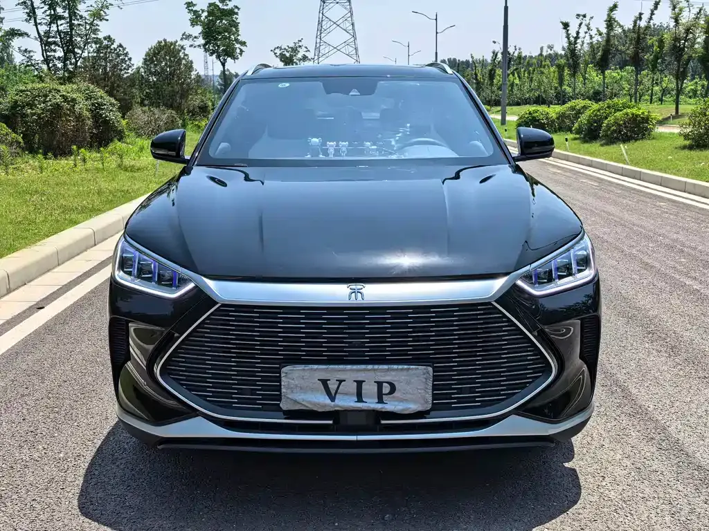 BYD PLUS New Energy — фото 9