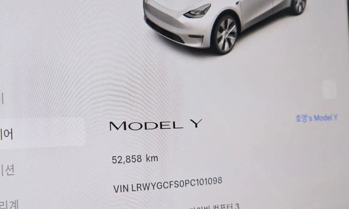 Tesla Model Y — фото 8