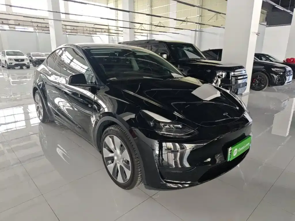 Tesla Model Y — фото 2