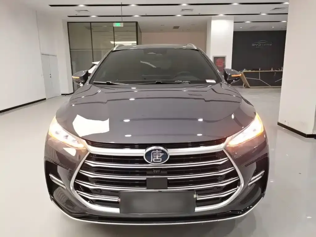 BYD Tang New Energy — фото 10