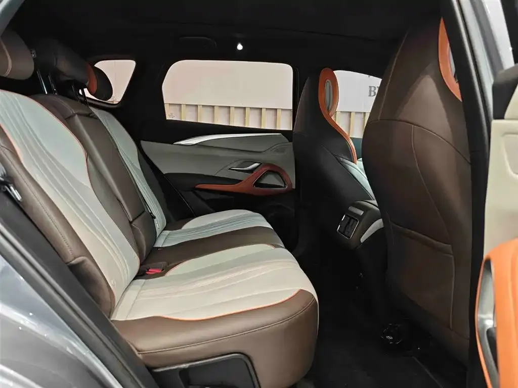 BYD Pro New Energy — фото 2