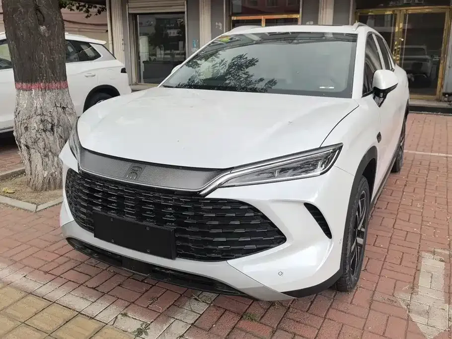 BYD L DM-i — фото 8