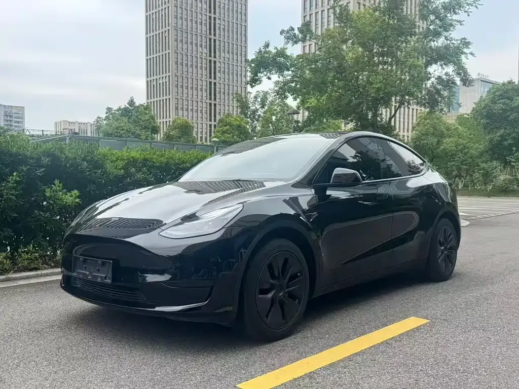 Tesla Model Y — фото 1