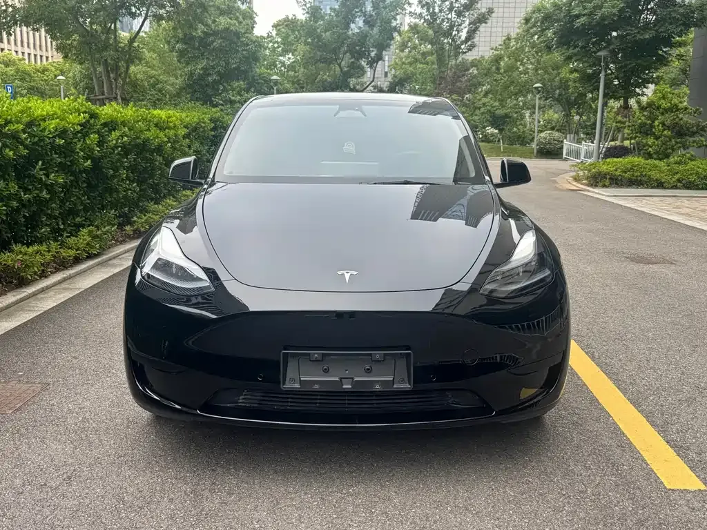 Tesla Model Y — фото 5