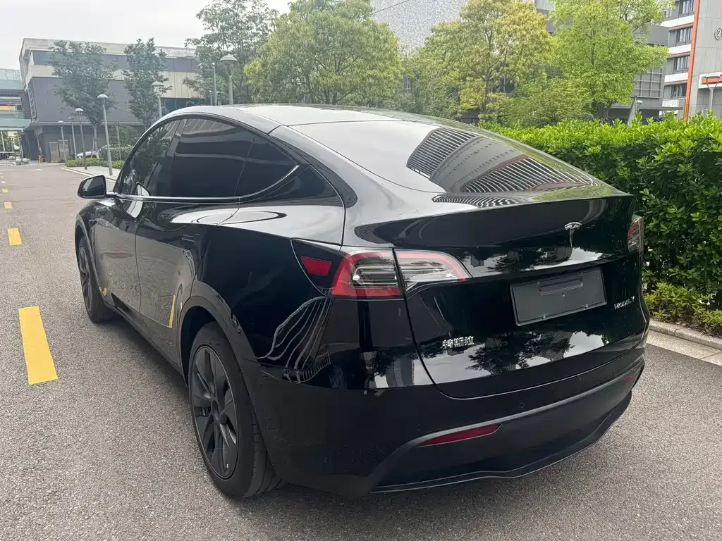 Tesla Model Y — фото 8