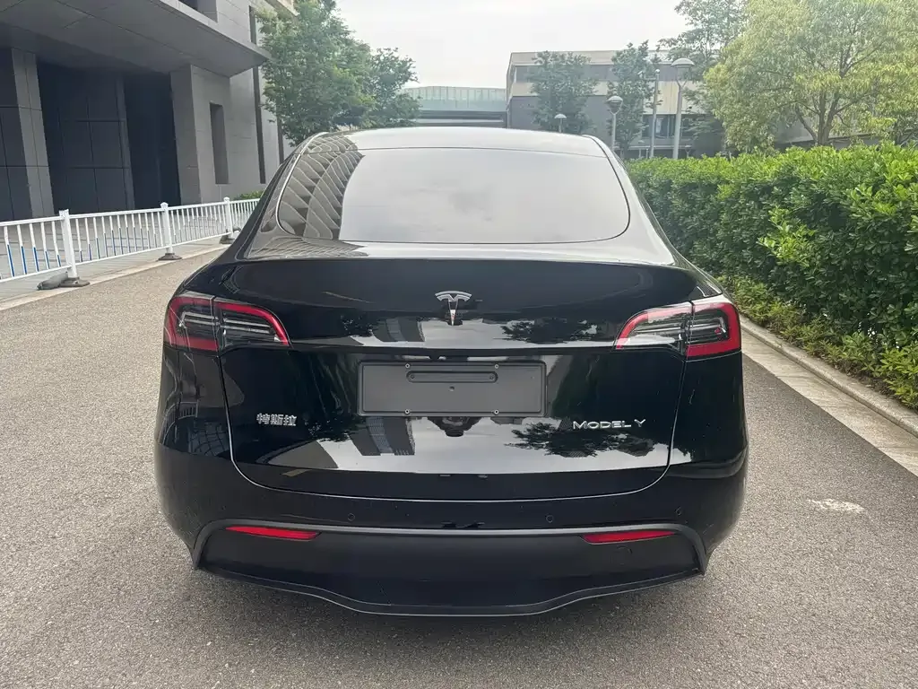 Tesla Model Y — фото 6