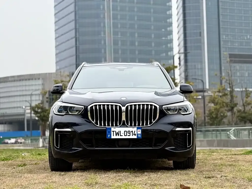 BMW X5 — фото 5