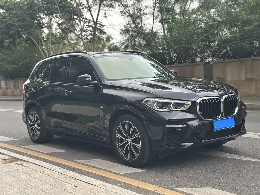 BMW X5 (Import) — фото 9