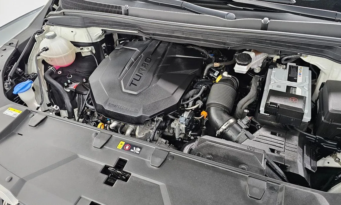 Kia Carnival — фото 10