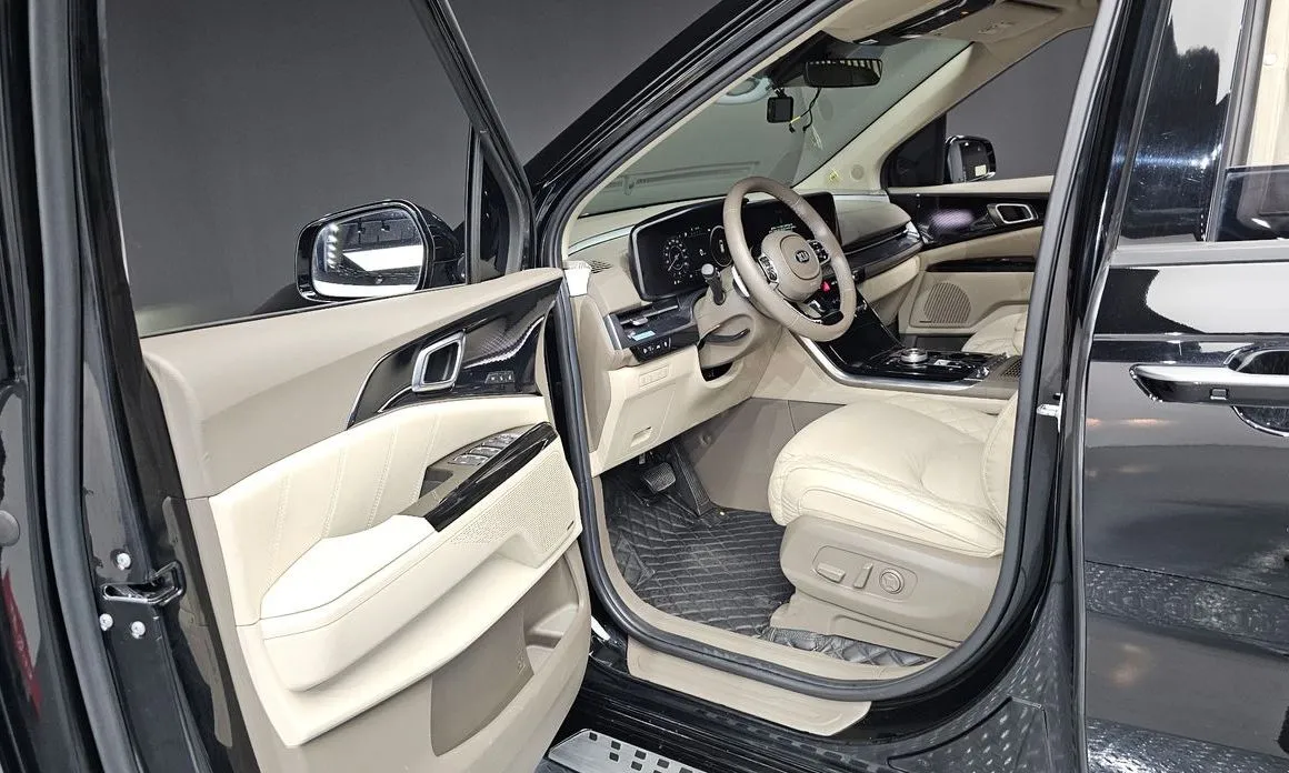 Kia Carnival — фото 10