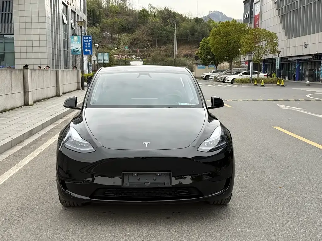 Tesla Model Y — фото 4
