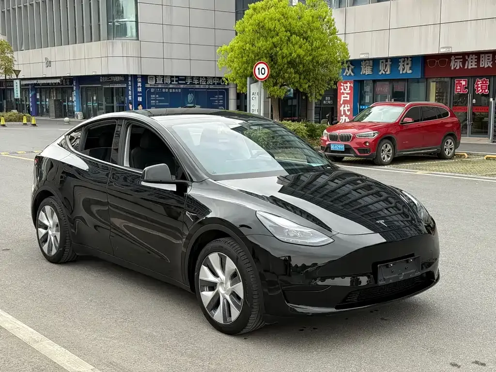 Tesla Model Y — фото 8