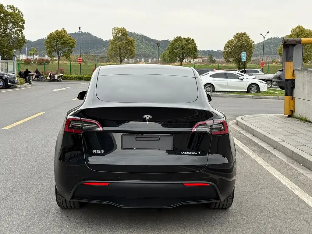 Tesla Model Y — фото 5