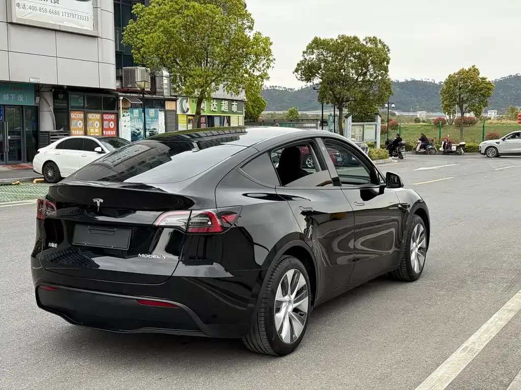 Tesla Model Y — фото 10