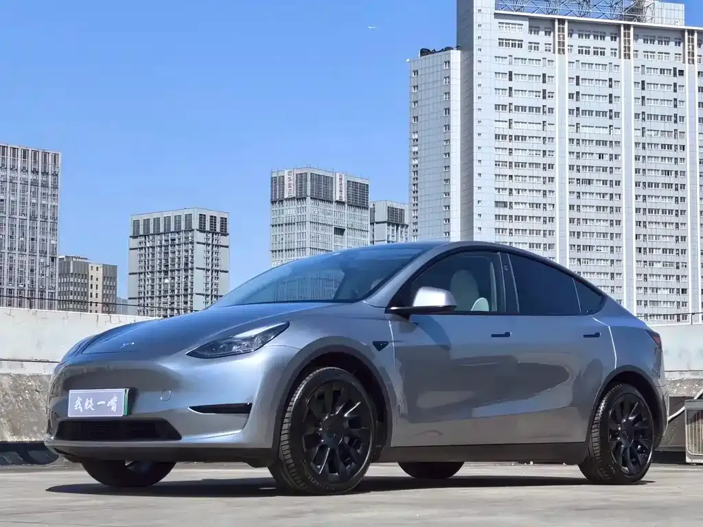 Tesla Model Y — фото 1