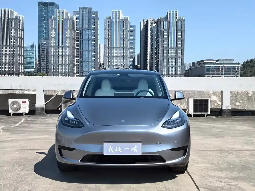 Tesla Model Y — фото 10