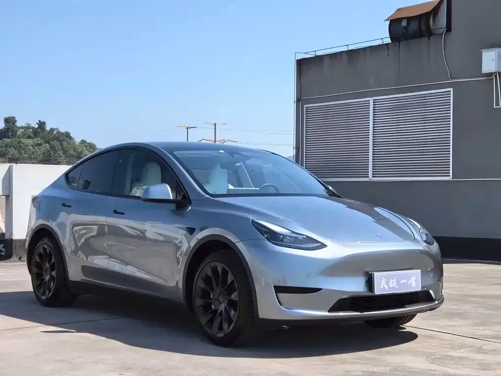 Tesla Model Y — фото 5