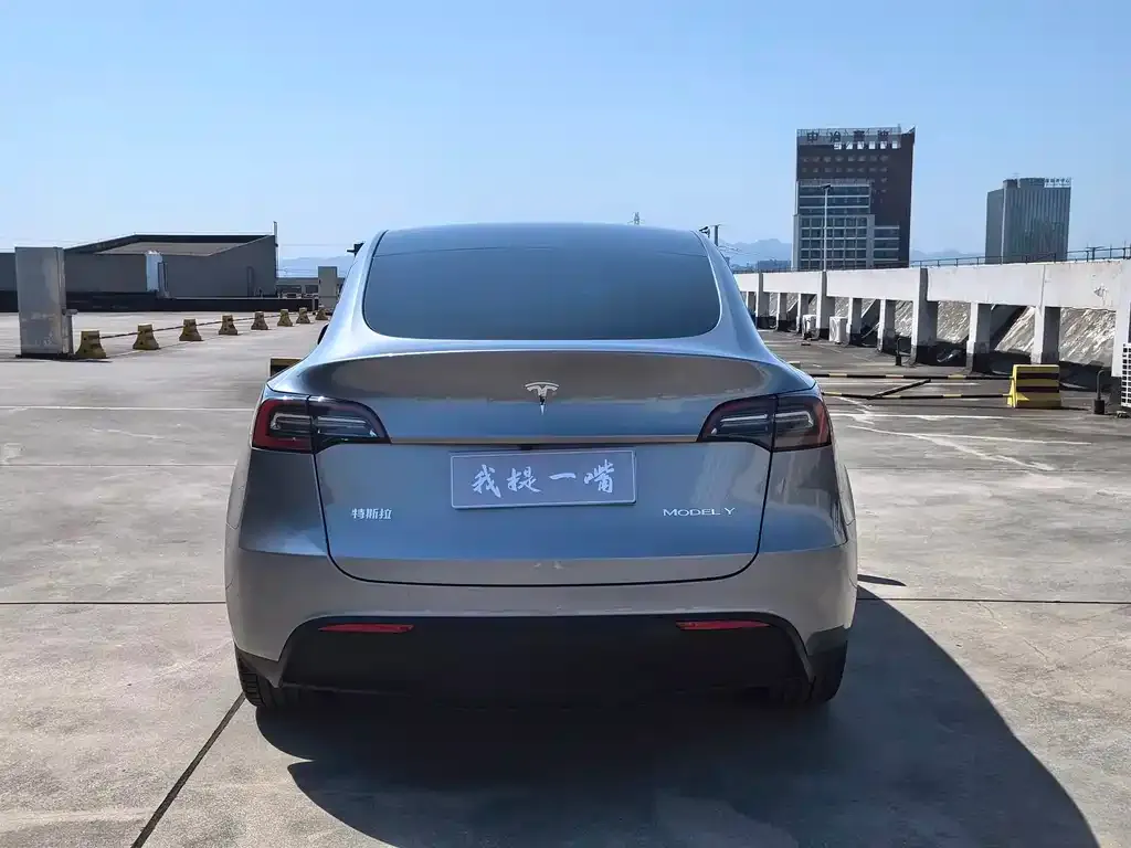 Tesla Model Y — фото 7