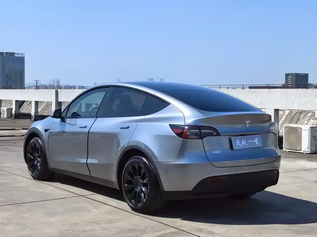 Tesla Model Y — фото 8