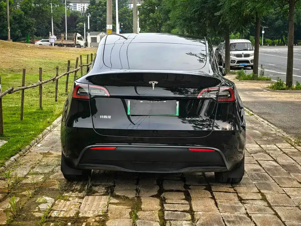Tesla Model Y — фото 6