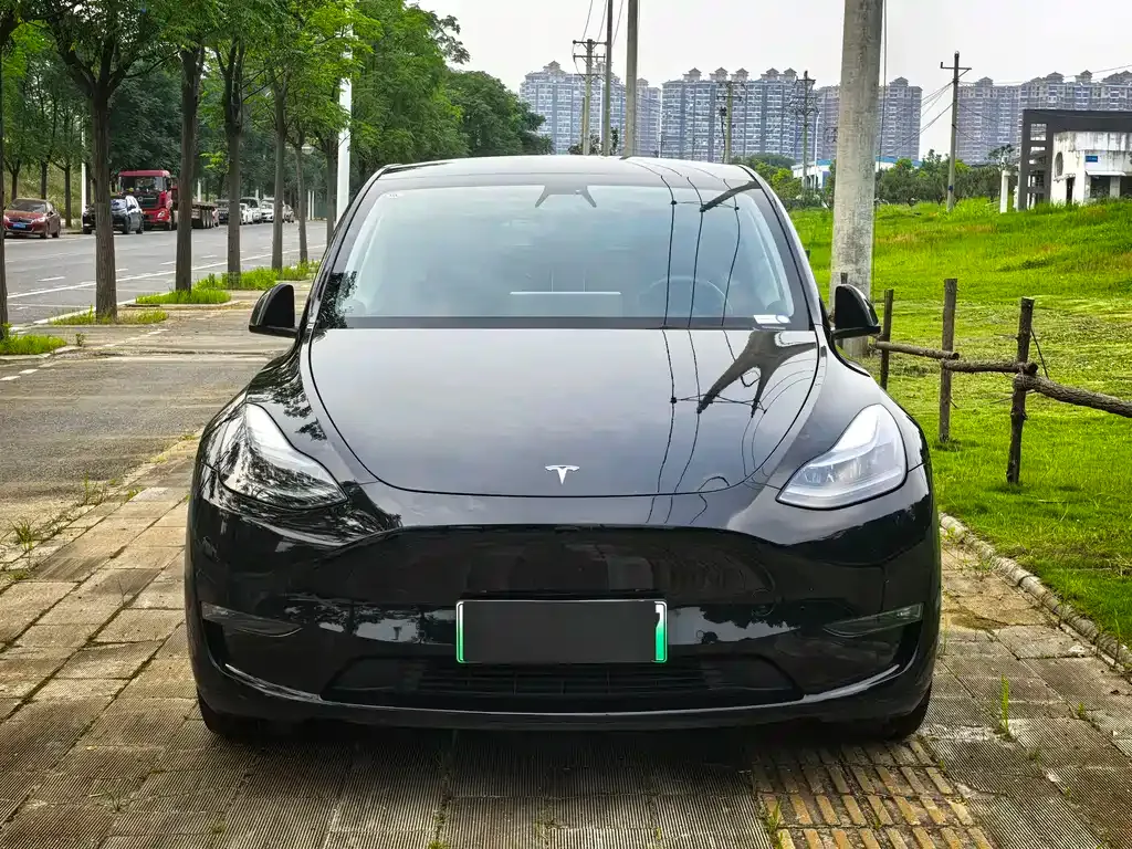 Tesla Model Y — фото 5