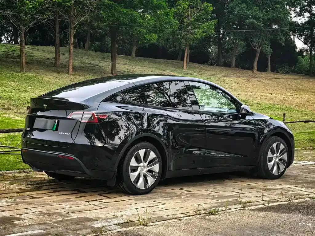 Tesla Model Y — фото 10