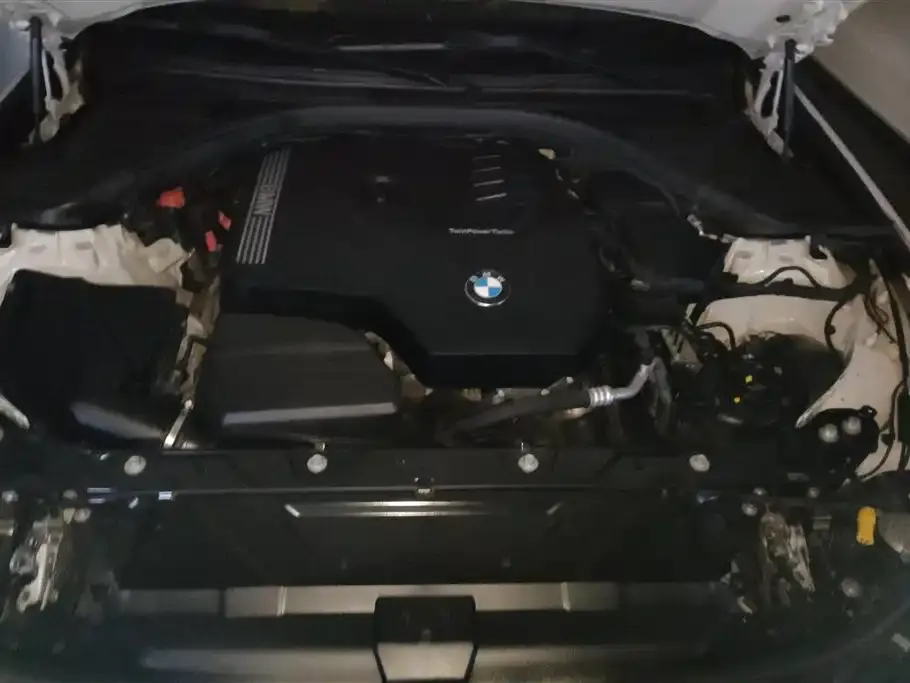 BMW 3 Series 2021 из CN, фото 7