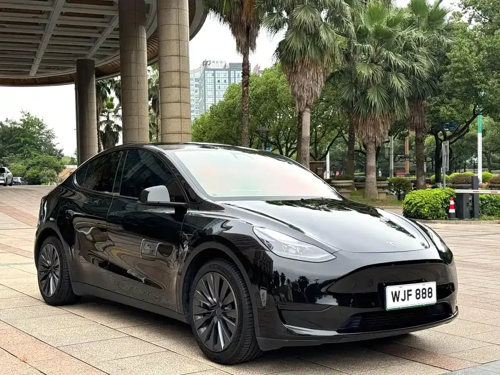 Tesla Model Y 2022 из CN, фото 6