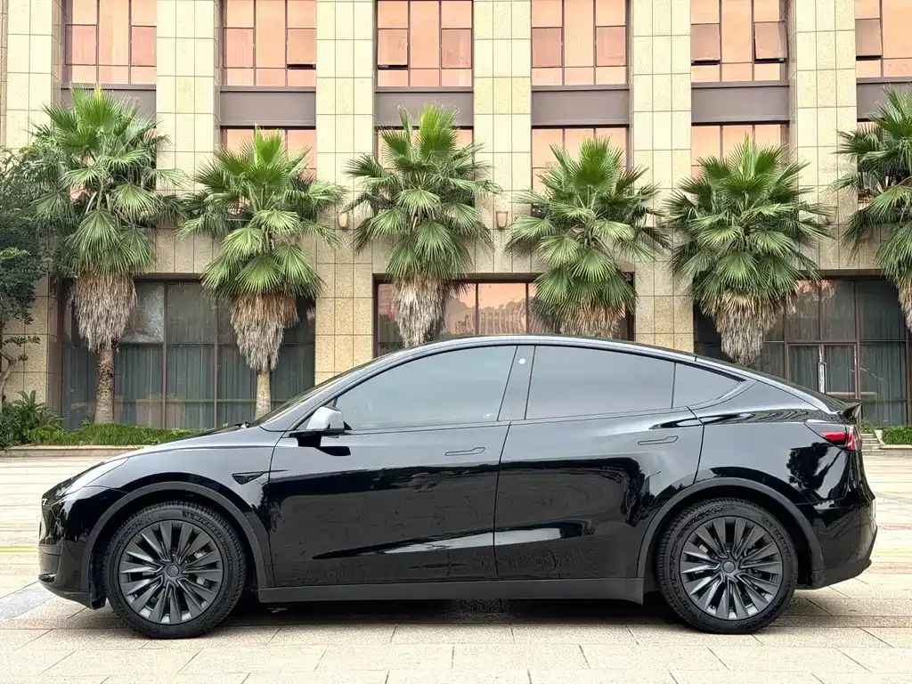 Tesla Model Y 2022 из CN, фото 4