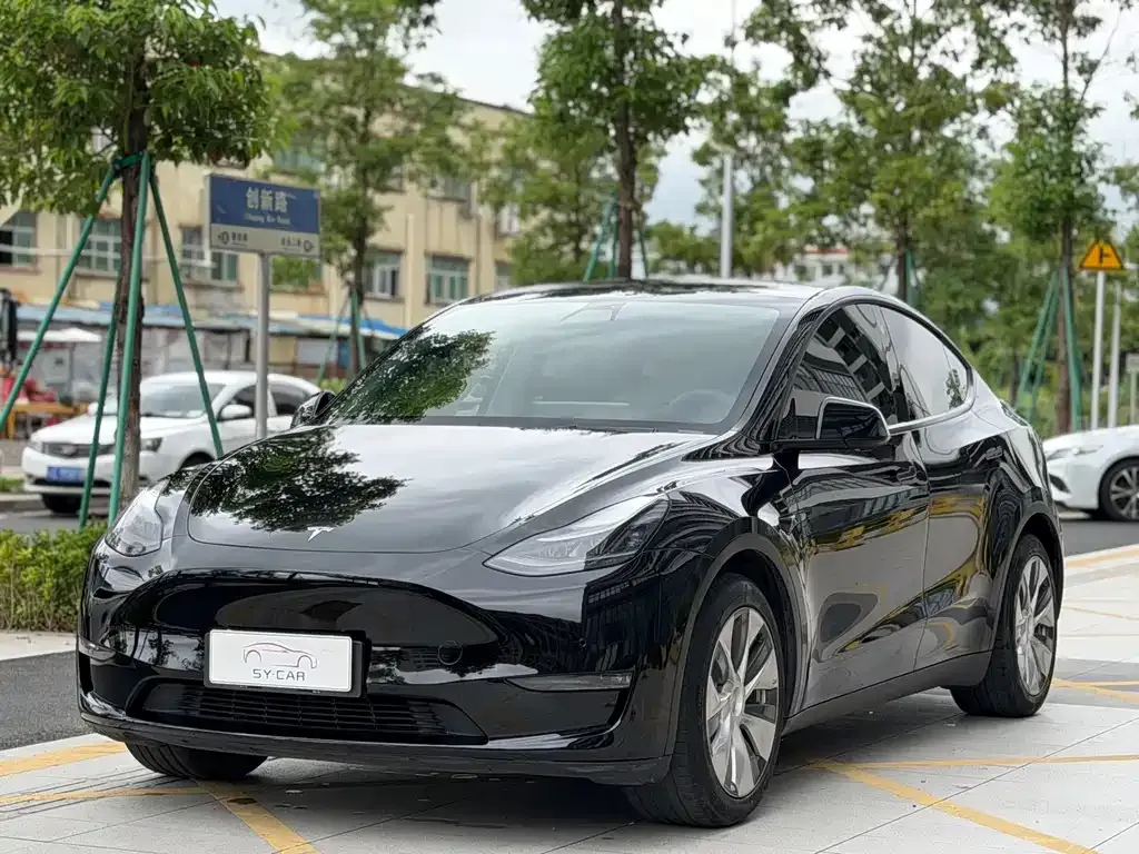 Tesla Model Y — фото 1