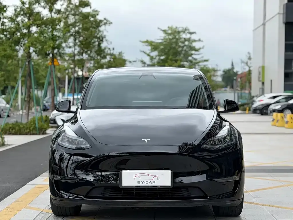 Tesla Model Y — фото 4