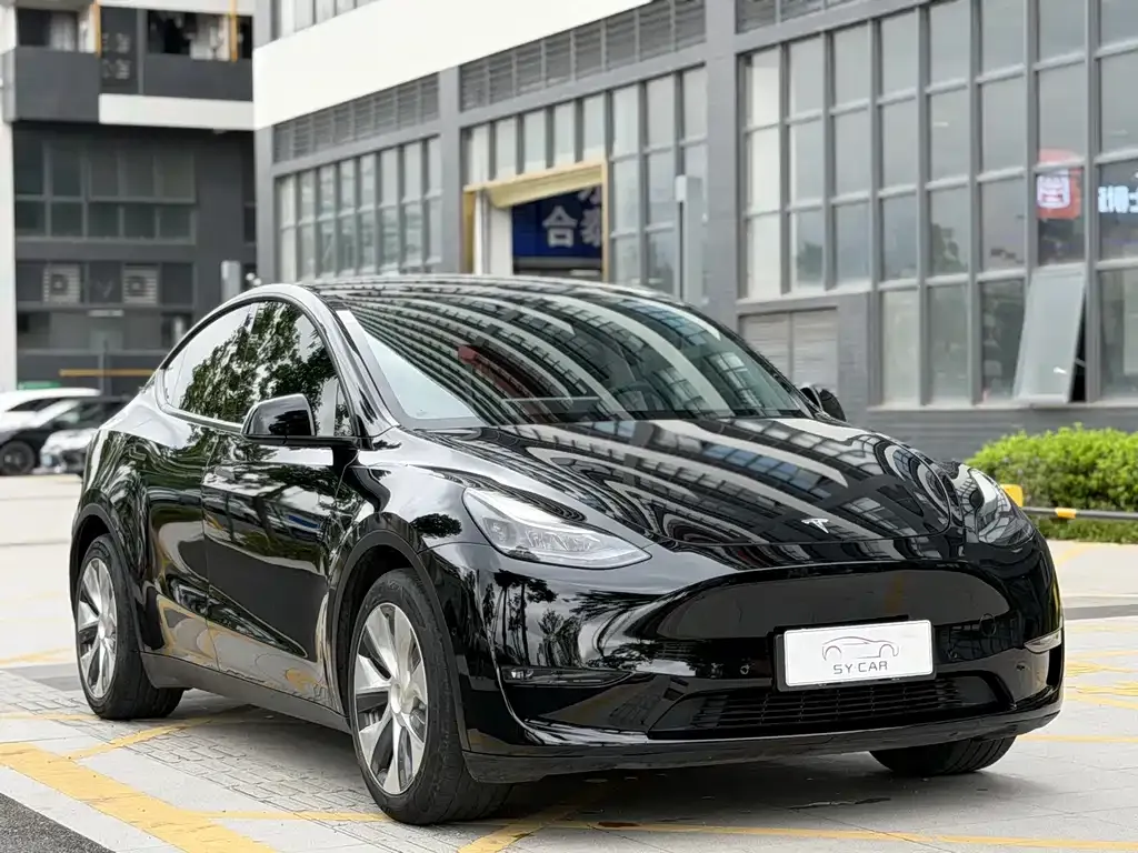 Tesla Model Y — фото 10