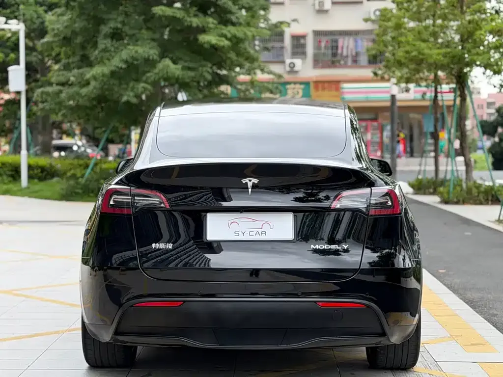 Tesla Model Y — фото 3