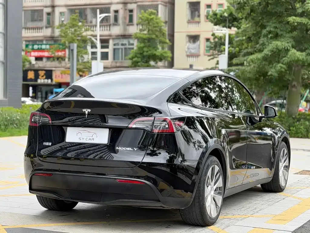 Tesla Model Y — фото 6