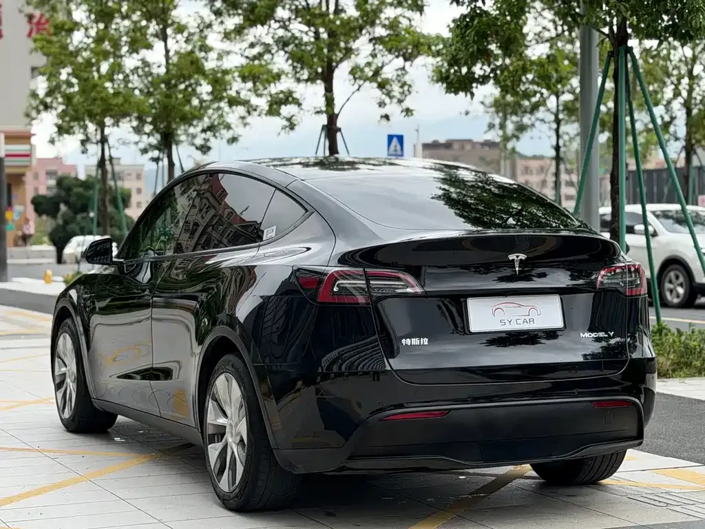 Tesla Model Y — фото 8
