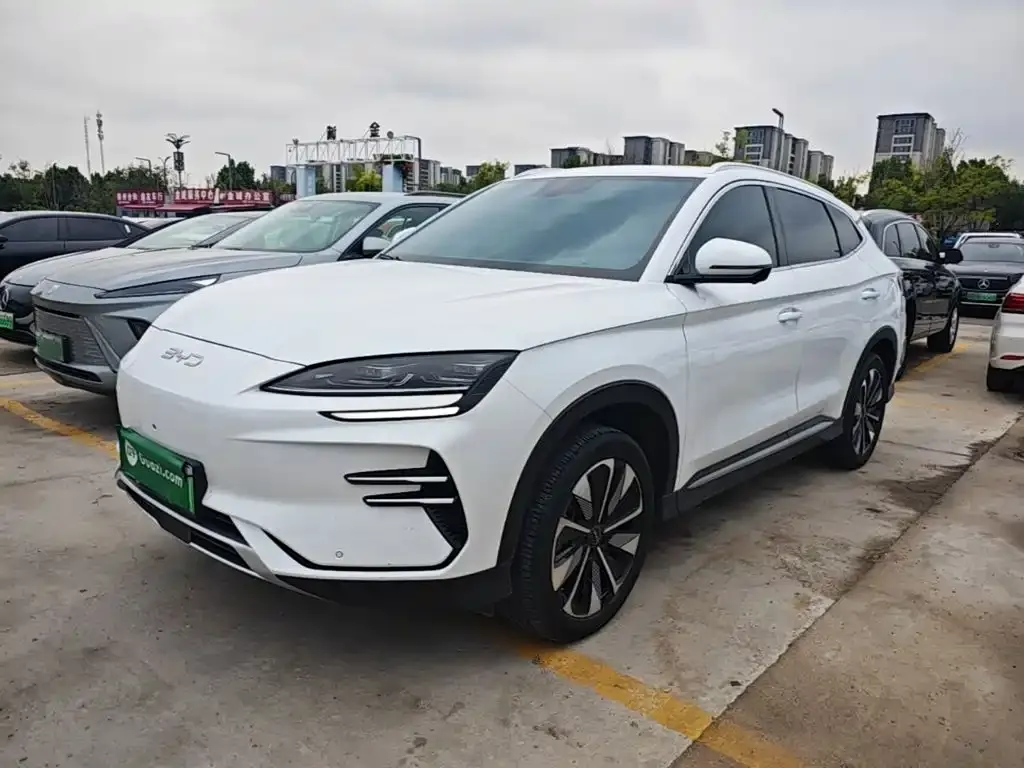 BYD PLUS New Energy — фото 1
