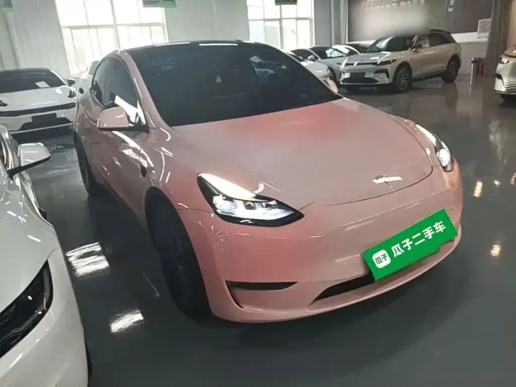 Tesla Model Y — фото 2