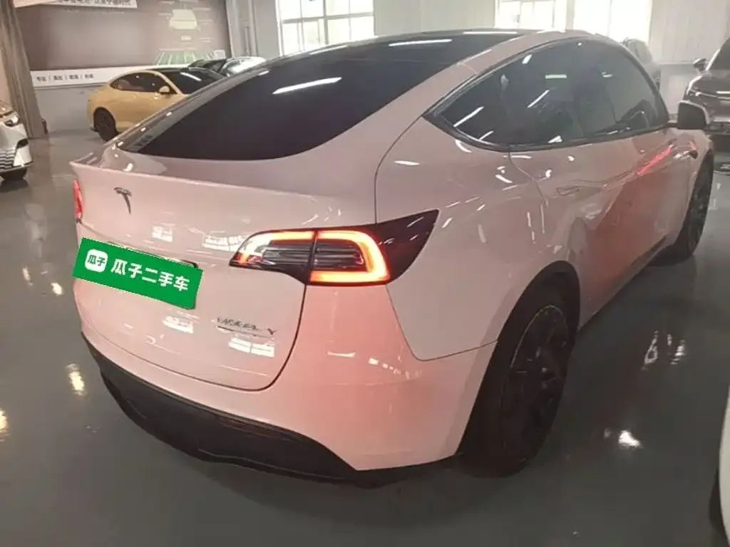 Tesla Model Y — фото 10